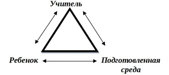 схема учитель, ребенок, подготовленная среда